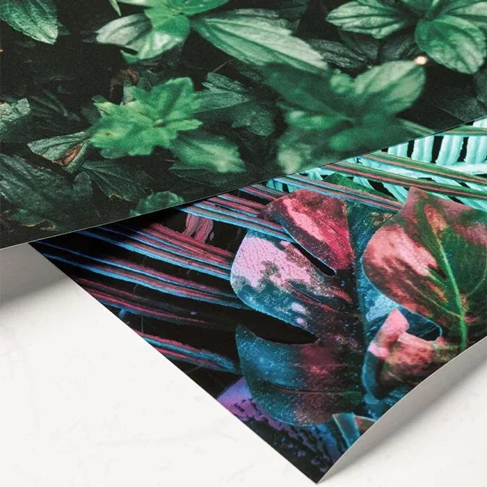 Product Catalogue UK - Enhanced Matte Paper Poster