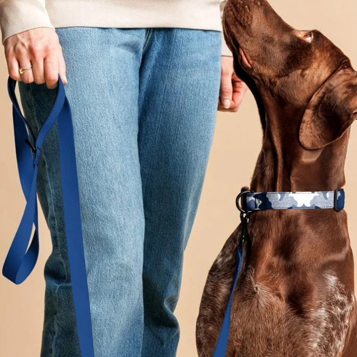 Custom Pet Collar and Leash